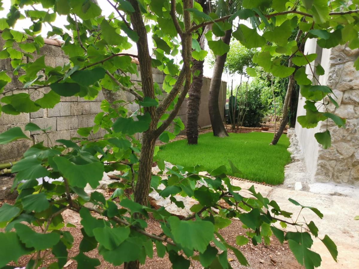 Ginko House Apartment Opatija Bagian luar foto