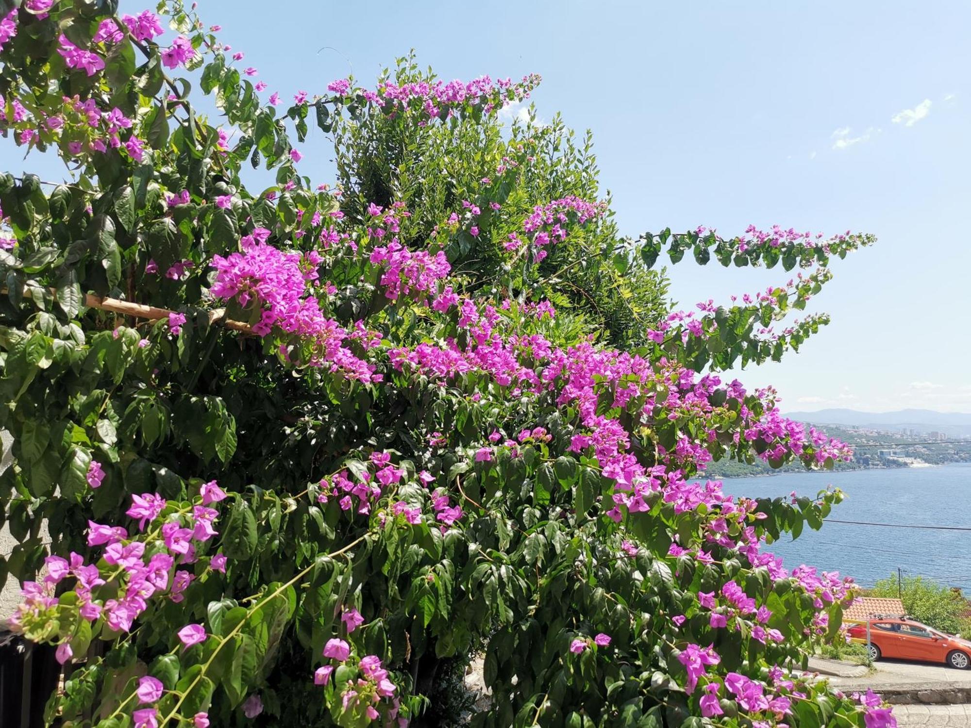 Ginko House Apartment Opatija Bagian luar foto