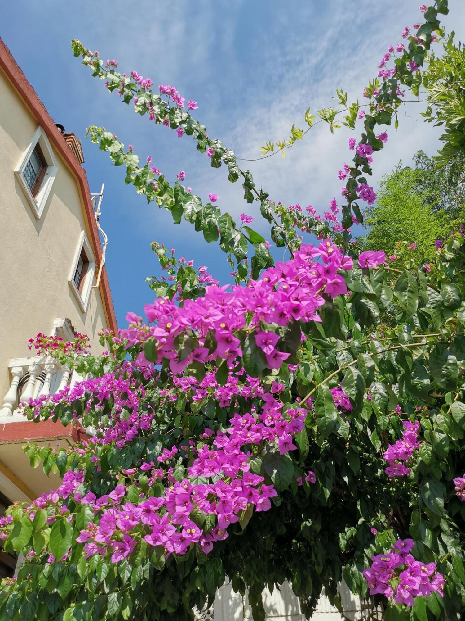 Ginko House Apartment Opatija Bagian luar foto