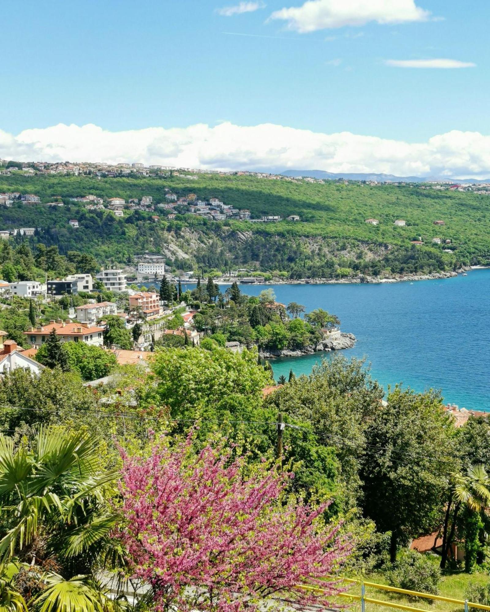 Ginko House Apartment Opatija Bagian luar foto